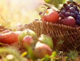 Фотопечать на рольшторах - Продукты _407